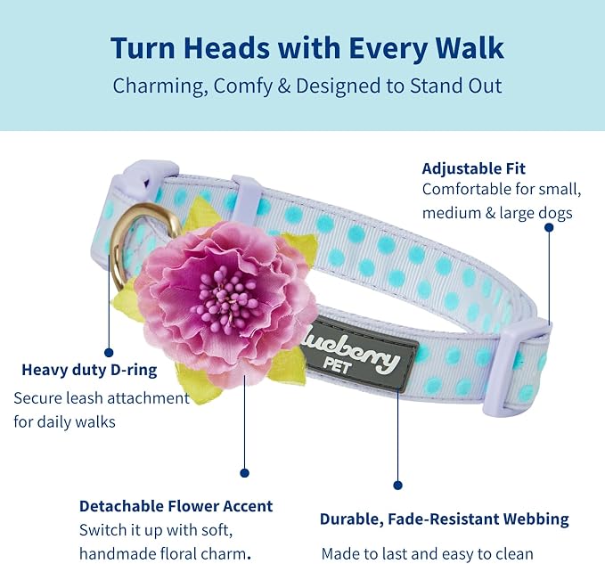 Blueberry Pet Flocking Dog Collar, Small Girl Dog Collar - Image 2
