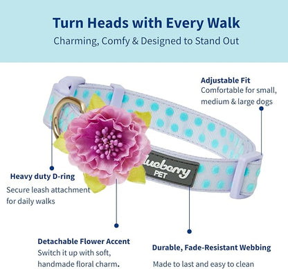 Blueberry Pet Flocking Dog Collar, Small Girl Dog Collar - Image 2