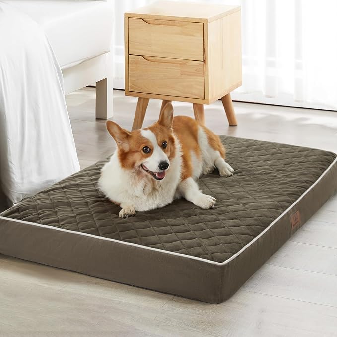 WNPETHOME Orthopedic XL Dog Beds Large Sized Dog, Waterproof Extra Large Dogs by WNPETHOMEPETSHOME