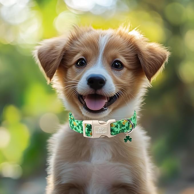 St. Patrick's Day Dog Collar for Large Dogs - Image 6