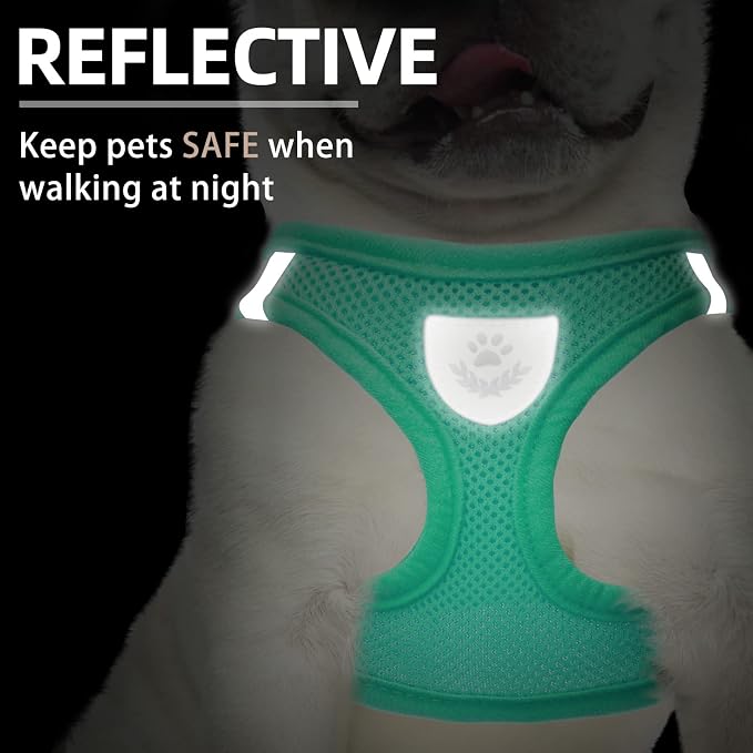 PUPTECK Adjustable Dog Harness Collar and Leash Set Step in No Pull Pet Harness - Image 4