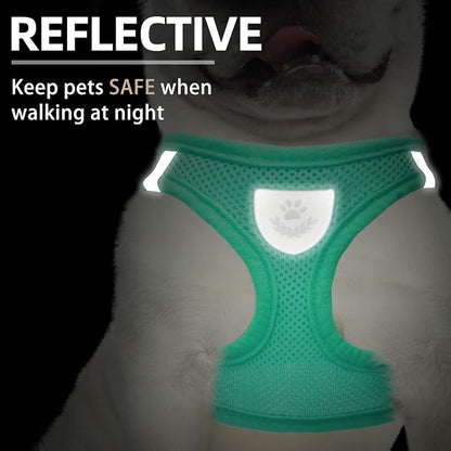 PUPTECK Adjustable Dog Harness Collar and Leash Set Step in No Pull Pet Harness - Image 4