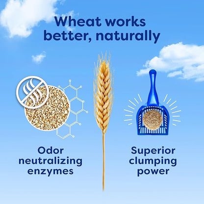 sWheat Scoop Natural Wheat Multi-Cat Litter, Superior Clumping - Image 7