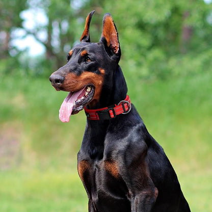 EXCELLENT ELITE SPANKER Reflective Dog Collar Classic Soft Padded Breathable - Image 9