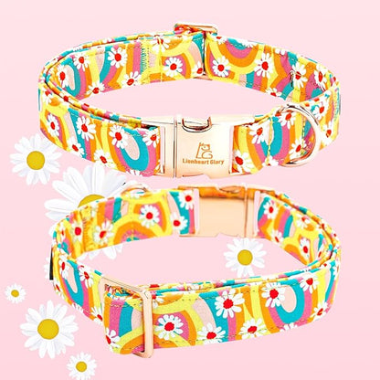 Lionheart glory Dog Collar - Image 5