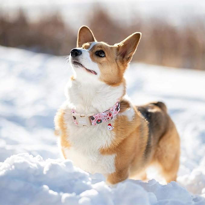 Pink Christmas Dog Collar, Adjustable Cotton Dog Collars - Image 5