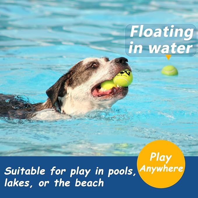Squeaky Tennis Balls for Dogs - Image 5