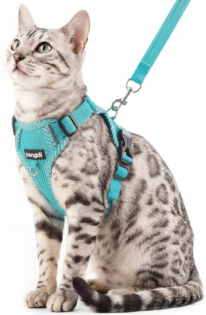 Cat Harness and Leash Escape Proof Small Kitten Harness Abyssinian Cat Vest by pangdi