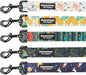 Downtown Pet Supply 6ft Heavy-Duty Dog Leash by DowntownPetSupply