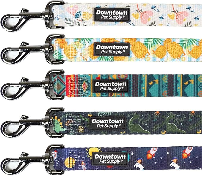 Downtown Pet Supply 6ft Dog Leash by DowntownPetSupply