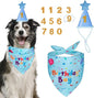 Dog Boy Girl Birthday Party Hat, Dog Birthday Party Supplies, Birthday Bandana by Yicostar
