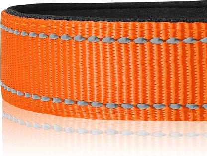 Joytale Reflective Dog Collar, Soft Neoprene Padded, Metal D-Ring, Nylon Pet - Image 4