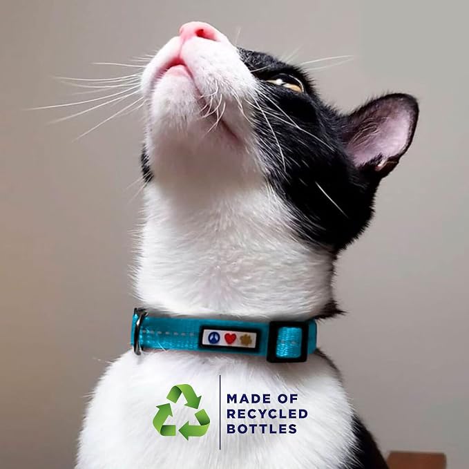 Pawtitas Recycled Orange Reflective Cat Collar – Eco-Friendly Breakaway Safety - Image 3