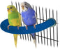Rypet Parrot Perch Rough-surfaced by RYPET