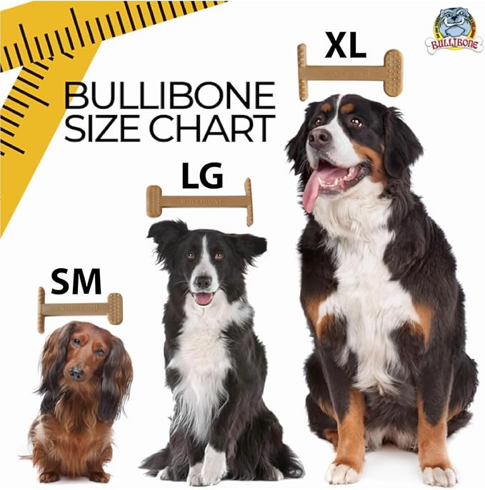 Bullibone Nylon Dog Chew Toy for Aggressive Chewers - Image 6