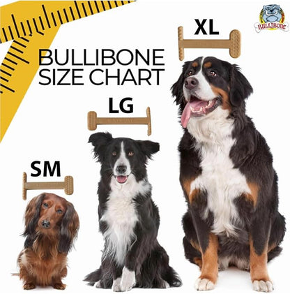 Bullibone Nylon Dog Chew Toy for Aggressive Chewers - Image 6