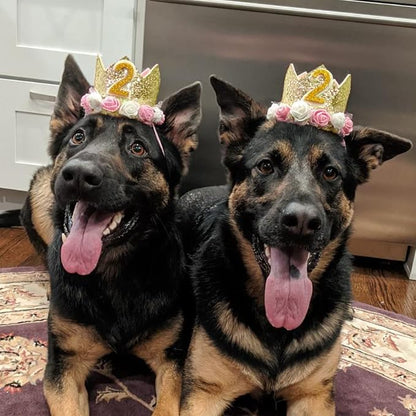 Dog Birthday Crown Hat - Image 8