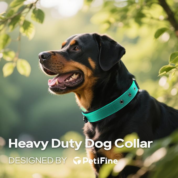 PetiFine Dog Collars for Small Dogs, Neoprene Padded Dog Collar, Reflective - Image 3