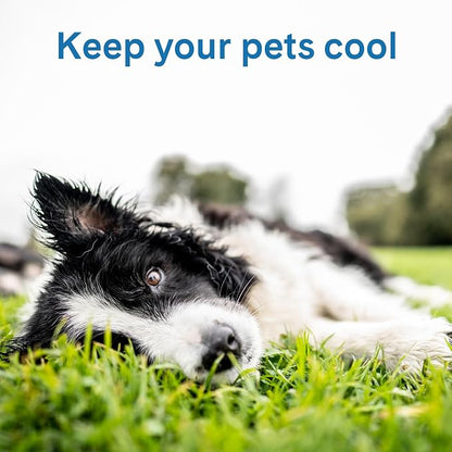The Green Pet Shop Cool Pet Pad - Image 4