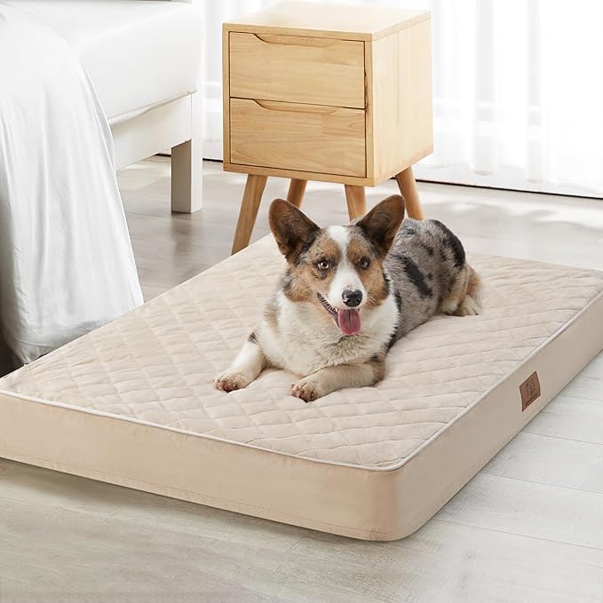 WNPETHOME Orthopedic XL Dog Bed by WNPETHOMEPETSHOME