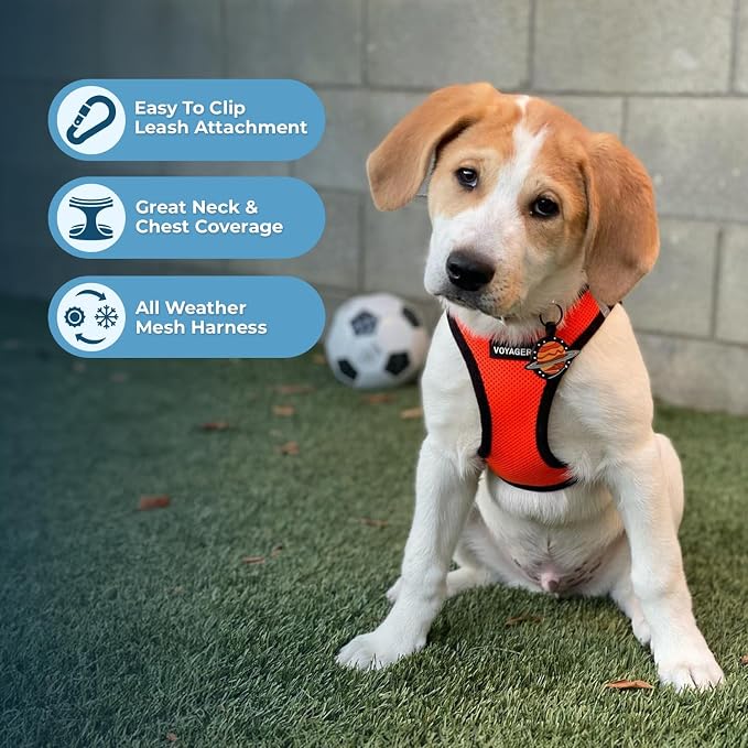 Best Pet Supplies Voyager Step-in Air All Weather Mesh Harness and Reflective - Image 5