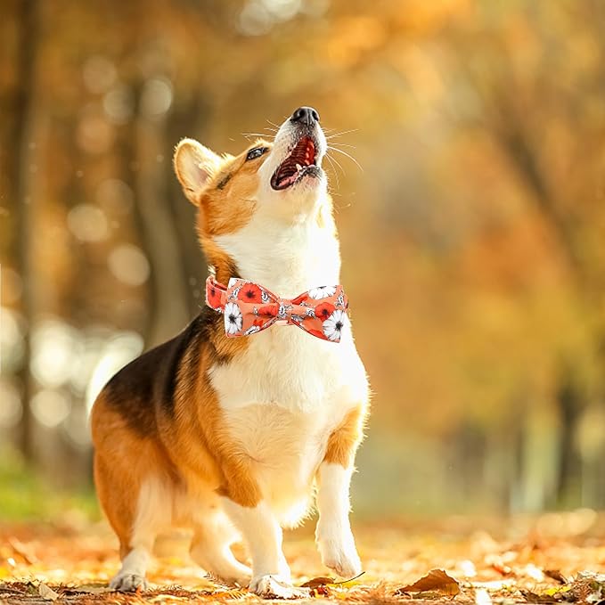 Fall Dog Collar, Pet Collar Bow Floral Pet Collar Girl Boy Holiday Pet Collars - Image 3