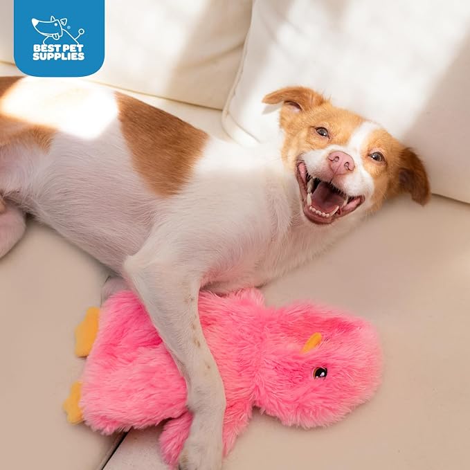 Best Pet Supplies Interactive Squeaky Dog Chew Toy, Ideal Dog Toys - Image 5