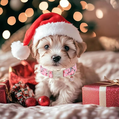 Christmas Dog Collar for Giant Large Dogs - Image 7