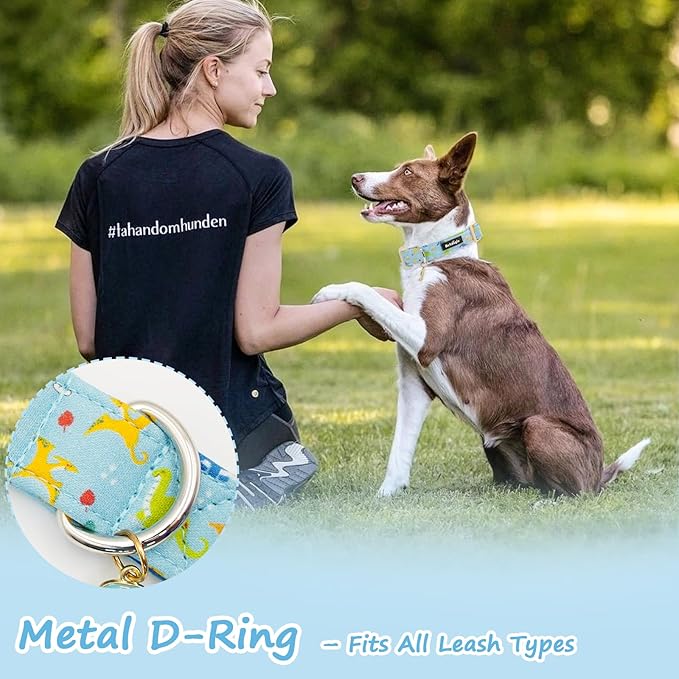 Dinosaur Dog Collar for Large Dogs, Cute Puppy Collars - Image 6