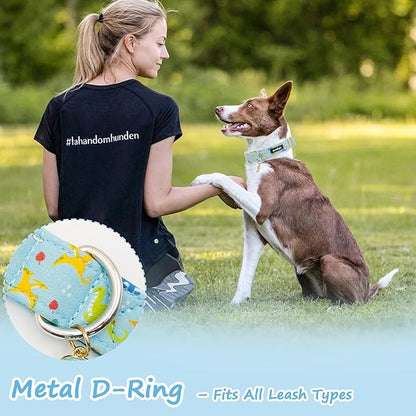 Dinosaur Dog Collar for Large Dogs, Cute Puppy Collars - Image 6