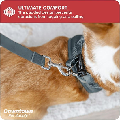 Downtown Pet Supply Step in Dog Harness No Pull, Titanium - Image 6