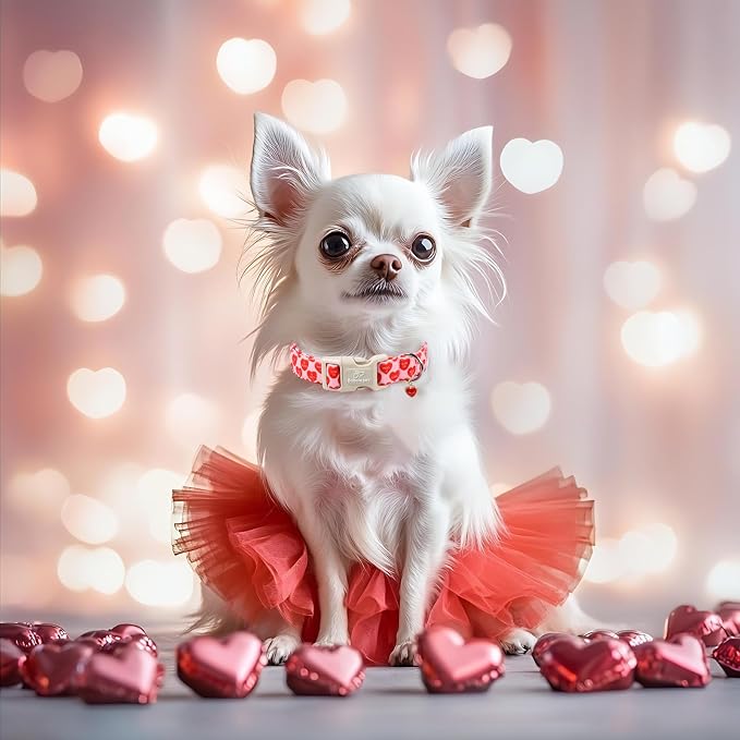 Valentines Dog Collar for Small Dogs - Image 5