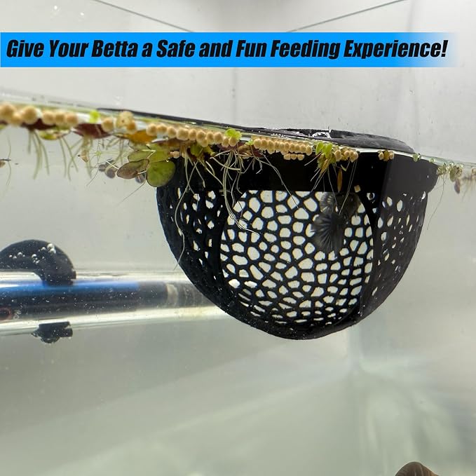 Aquarium Floating Betta Fish Skins, Betta or Shrimp Feeder, Cave and Hammock - Image 4