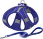 AIITLE Comfortable Dog Harness and Leash Set by AIITLE-FORPETSBETTERLIFE