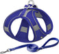 AIITLE Easy Walk Dog Harness and Leash Set by AIITLE-FORPETSBETTERLIFE