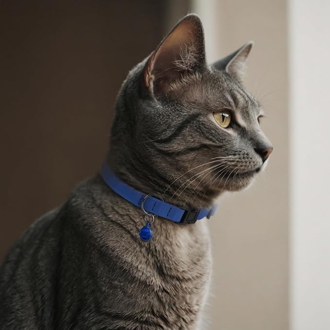 Breakaway Cat Collar Leather - Image 6