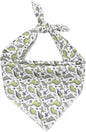 ARING PET Dinosaur Dog Bandanas, Summer Kerchief Triangle Bibs Scarf by ARINGPET