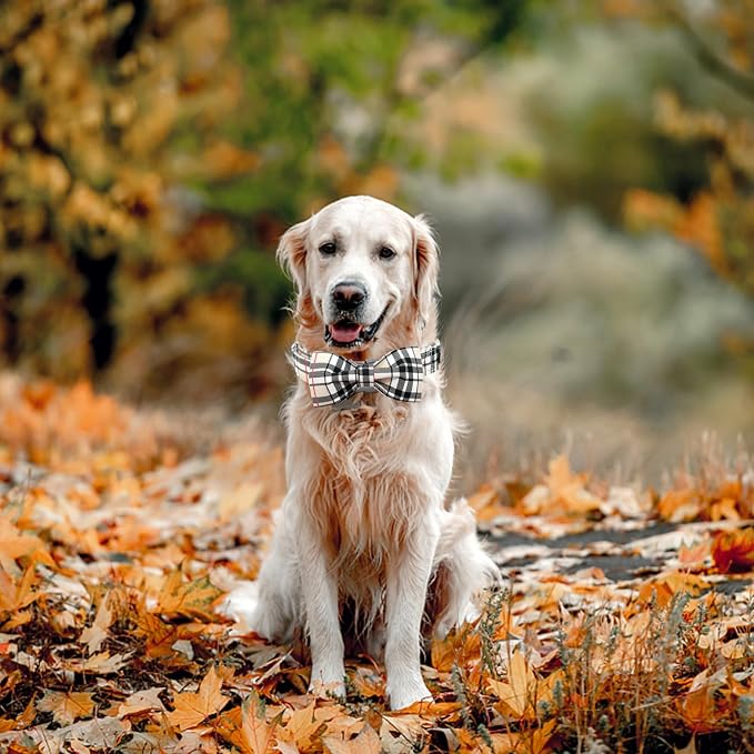 Bow Dog Collar-Plaid Pet Collar Cute Pet Bow Soft Girl or Boy Dog Collars - Image 6