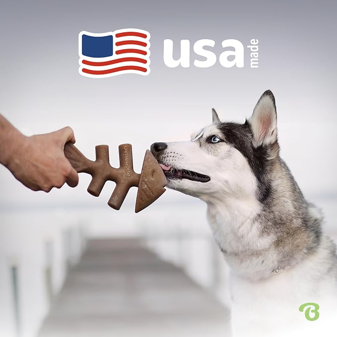 Benebone Tiny 2-Pack Fishbone Durable Dog Chew Toys, Real Fish Flavor, Made in - Image 5