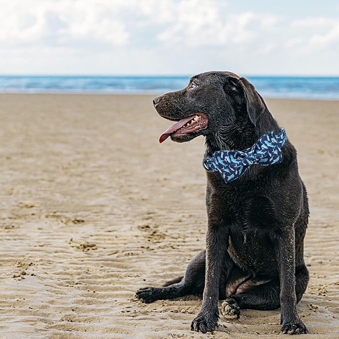 Elegant Little Tail Bowtie Dog Collar - Image 6