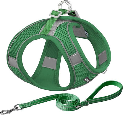 AIITLE Easy Walk Dog Harness and Leash Set by AIITLE-FORPETSBETTERLIFE