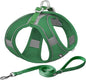 AIITLE Easy Walk Dog Harness and Leash Set by AIITLE-FORPETSBETTERLIFE