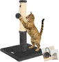 Happi N Pets Cat Scratching Post, Cat Scratcher by HappiNPets