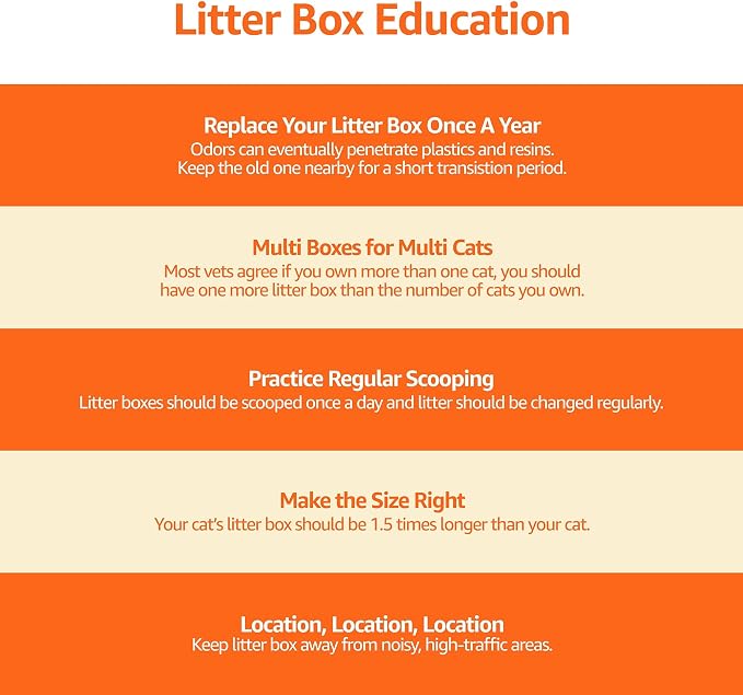 Amazon Basics Large Cat Litter Box - Image 13