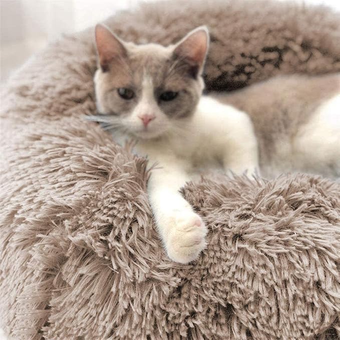 Cat Beds for Indoor Cats - Image 3