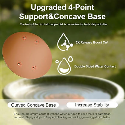 Upgraded Bird Bath Copper Disk, 0.8mm Reinforced 99.99% Pure Copper Cleaning - Image 4