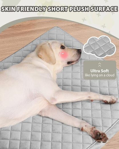 Orthopedic Dog Beds for Extra Large Dogs Waterproof - Image 2