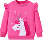 Toddler Baby Girls Cotton Sweater, Long Sleeve Crewneck Sweatshirt Pullover by Unknown