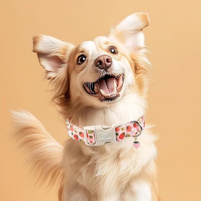 Strawberry Dog Collar for Small Dogs - Image 2