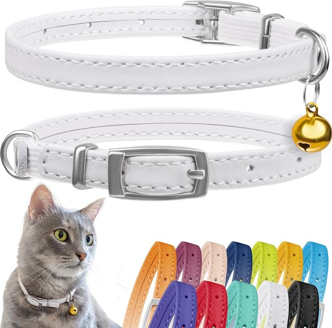 CollarDirect Leather Cat Collar, Kitten Collar by CollarDirect